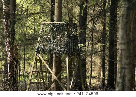 Closeup Hunting Chair Up A Tree In A Danish Forest
