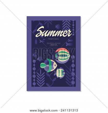 Summer Poster, Trendy Seasonal Background With Tropical Fis For Poster, Flayer, Postcard, Cover, Bro