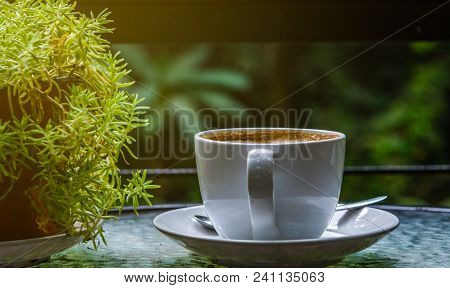 Closeup A White Coffee Cup On A Dish With Flowerpot.