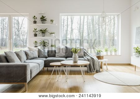 Natural Grey Living Room Interior