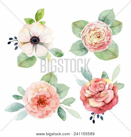 Set Boutonnieres With Anemones And Roses Isolated On White Background. Watercolor Illustration