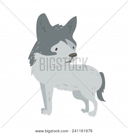 Forest Animal Vector With Isolated Cartooning Little Wolf. Good As Print Card Sticker For Kids Acces