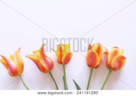 Styled Stock Photo. Spring Feminine Scene, Floral Composition. Bunch Of Beautiful Tulips On White Ba