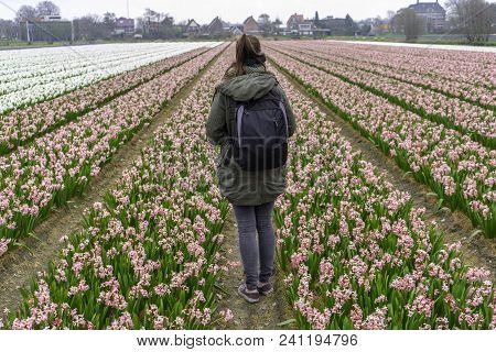 Woman Standing In Flower Field Of Narcissus Flowers Fully Blooming In A Flowerfield In Lisse, The Ne