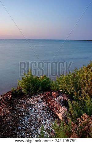 A Wild Beach And A Pigeon Sea Water On A Lovely Sunny Day