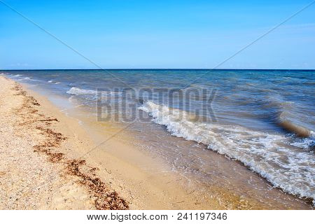 A Wild Beach And A Pigeon Sea Water On A Lovely Sunny Day