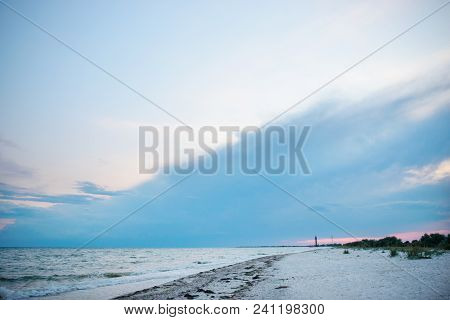 A Wild Beach And A Pigeon Sea Water On A Lovely Sunny Day