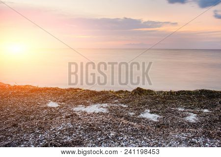 A Wild Beach And A Pigeon Sea Water On A Lovely Sunny Day