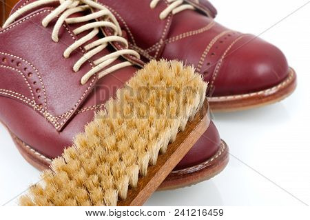 The Horsehair Brush