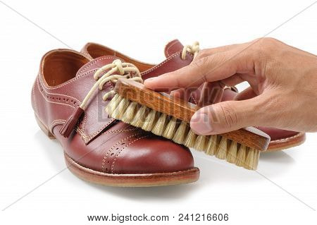 The Horsehair Brush