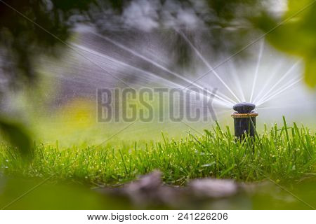 Automatic Sprinkler System Watering The Lawn On A Background Of Green Grass, Close-up