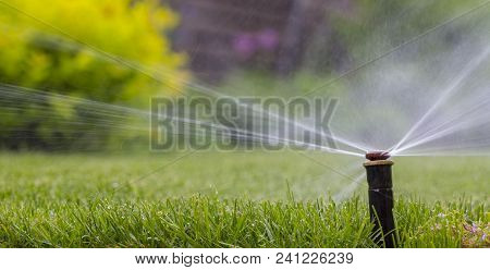 Automatic Sprinkler System Watering The Lawn On A Background Of Green Grass, Close-up