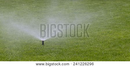Automatic Sprinkler System Watering The Lawn On A Background Of Green Grass, Close-up
