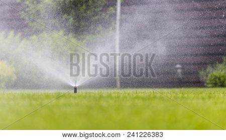 Automatic Sprinkler System Watering The Lawn On A Background Of Green Grass, Close-up