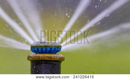 Automatic Sprinkler System Watering The Lawn On A Background Of Green Grass, Close-up