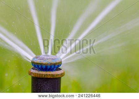 Automatic Sprinkler System Watering The Lawn On A Background Of Green Grass, Close-up