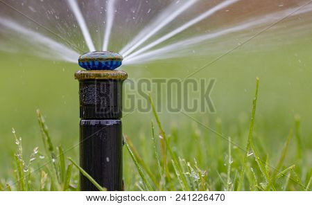 Automatic Sprinkler System Watering The Lawn On A Background Of Green Grass, Close-up