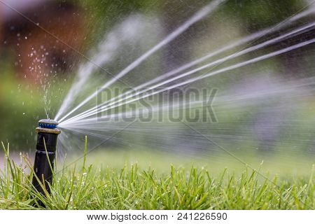 Automatic Sprinkler System Watering The Lawn On A Background Of Green Grass, Close-up