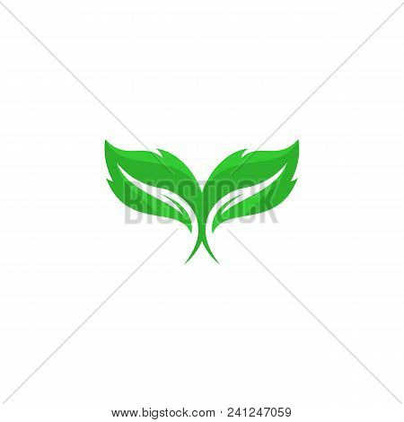 leaf logo, leaf vector Eps10, leaf Icon Vector, green leaf logo, leaf Icon Eps, leaf Icon Jpg, leaf Icon Picture, leaf Icon Flat, leaf Icon App, leaf Icon Web, leaf isolated white background