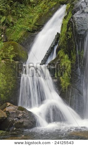 Cascadas de Triberg idílico
