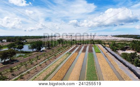 Aerial View Allocation Of Land To Farmers And Land To Separate Waste. In The Waste Disposal Area