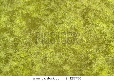 Sprankelende groene Slime Detail