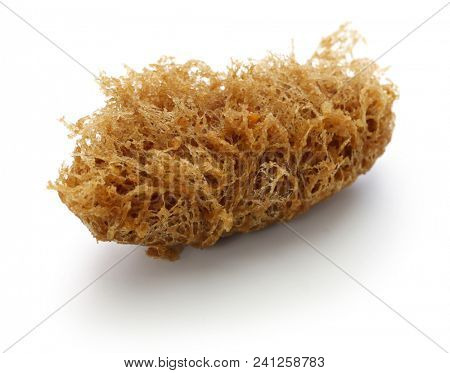 deep fried honeycomb taro dumplings, chinese dim sum isolated on white background
