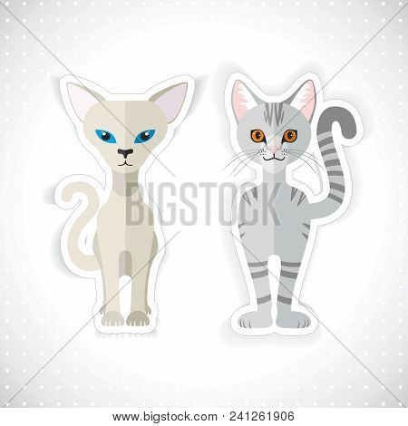 Collection Of Two Cute Cats, Vector Modern Illustration