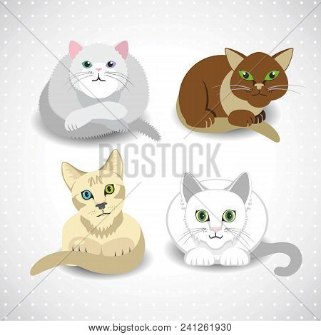 Collection Of Four Cats, Vector Cute Illustration