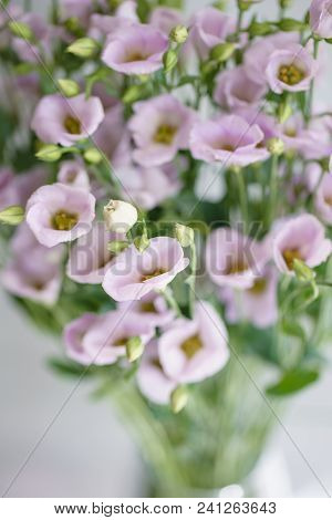 Bunch Of Lilac Eustoma Flowers In Glass Vase. Love Vintage Background With Flowers