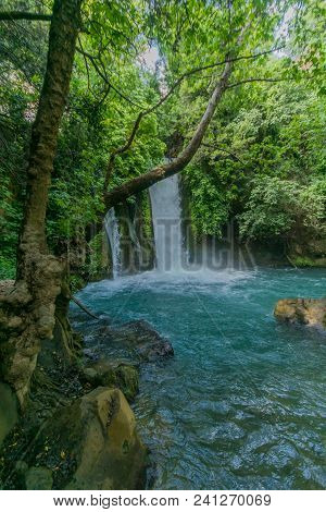 The Banias (banyas) Waterfall In The Hermon Stream (banias) Nature Reserve, Northern Israel