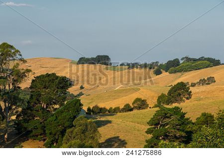 Green Rolling Hills Of South Gippsland In Victoria, Australia Between Foster And Meeniyan.