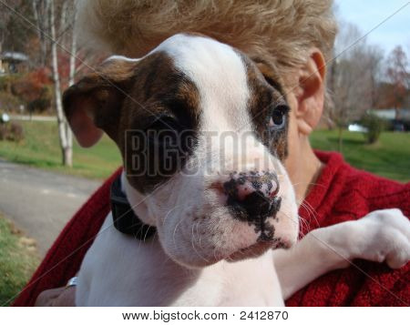 Lady Holding Bull Dog