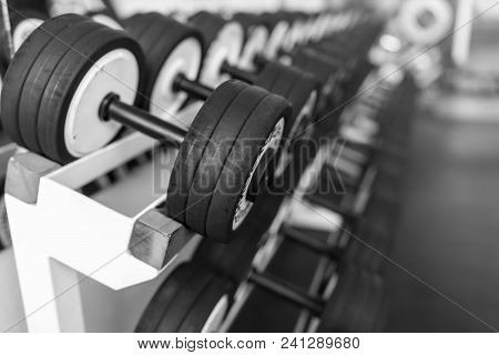 Rows Of Dumbbells In The Gym With Hign Contrast Light