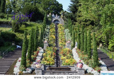エデンの園