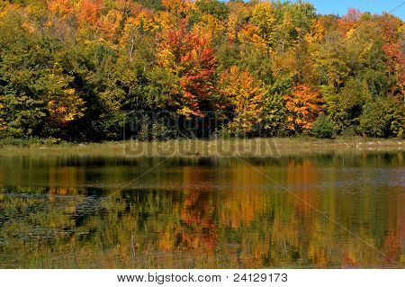 Farverige refleksioner i Chequamegon-nicolet National Forest, Wisconsin, Usa