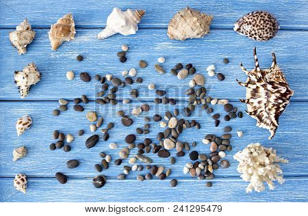 Sea Shells And Stones On A Blue Wooden Background