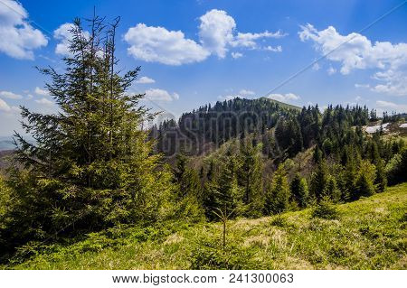 The Panoramic View Of Landscape Of The Carpathian Mountains With Parashka Mountain At Back, National