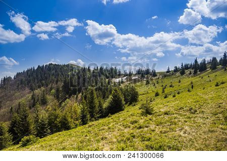 View Of Landscape Of The Carpathian Mountains With Parashka Mountain At Back, National Park Skolevsk