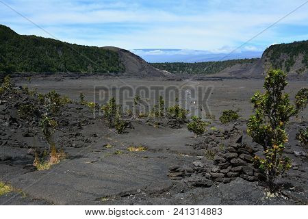 Kilauea Iki Trail In Volcanoes National Park In Big Island Of Hawaii