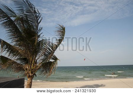 Thailand Island Beautiful Resort View With Palm N Freground