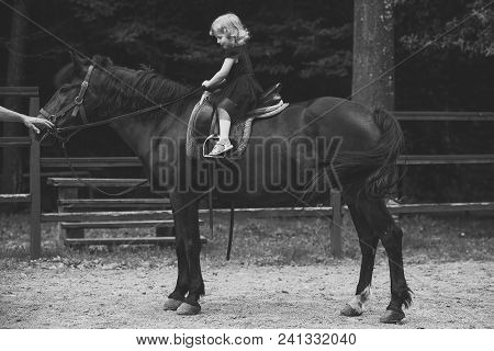 Kids Playing - Happy Game. Girl Ride On Horse On Summer Day. Child Sit In Rider Saddle On Animal Bac