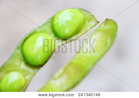 Close Up Of Open Edamame Or Green Soy Bean