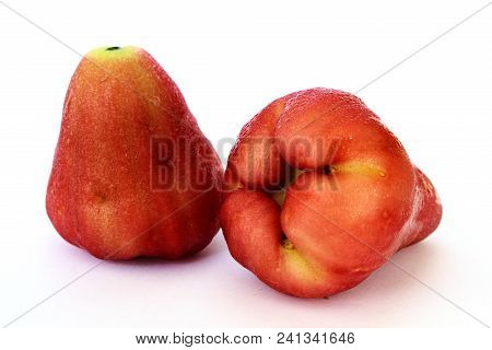 Isolated Of Fresh Syzygium Aqueum Or Rose Apple