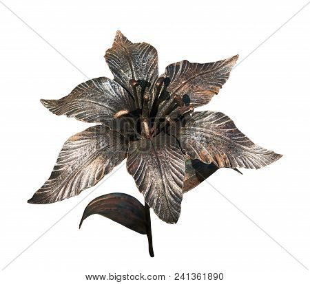 Lily Handmade Forged From Metal. Isolated On A White Background