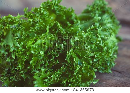 Letucce Salad Leaves On Wooden Background. Healthy Food Illustration. Salad Ingredient Closeup.