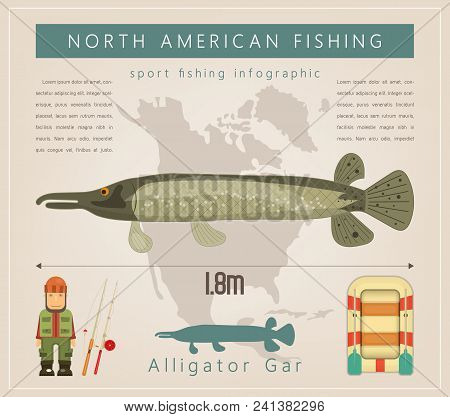 Alligator Gar. North American Fishing Infographic Set. Freshwater Fish. Vector Illustration.