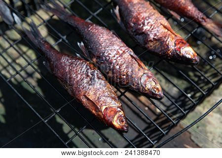 Smoked Fish In The Smoking Room Cooked At The Stake