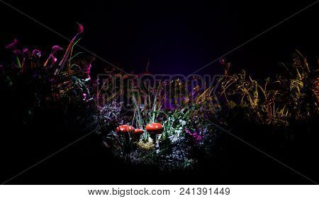 Mushroom. Fantasy Glowing Mushrooms In Mystery Dark Forest Close-up. Amanita Muscaria, Fly Agaric In