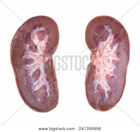 Pork Kidney Raw Isolated On White Background. Closeup. Pig Kidney Isolated